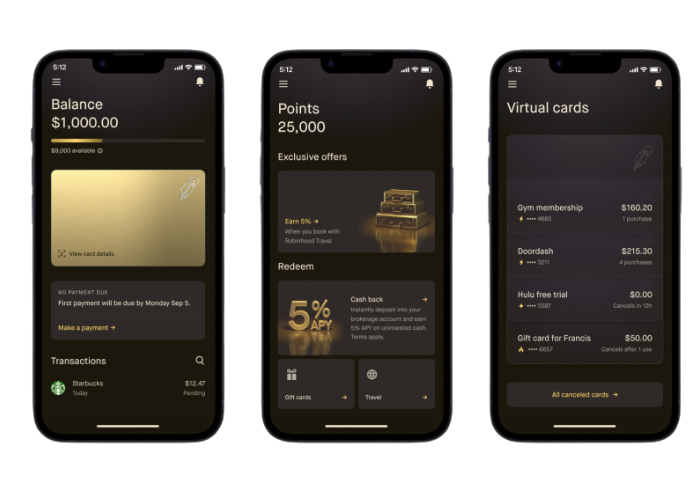 Robinhood Gold Card features and benefits visualization